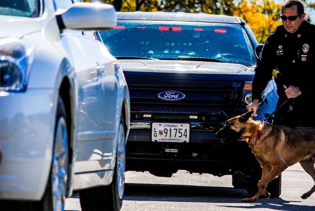 Police K9 Seminars Tactical Tracking, Detection, ECollar, Decoy