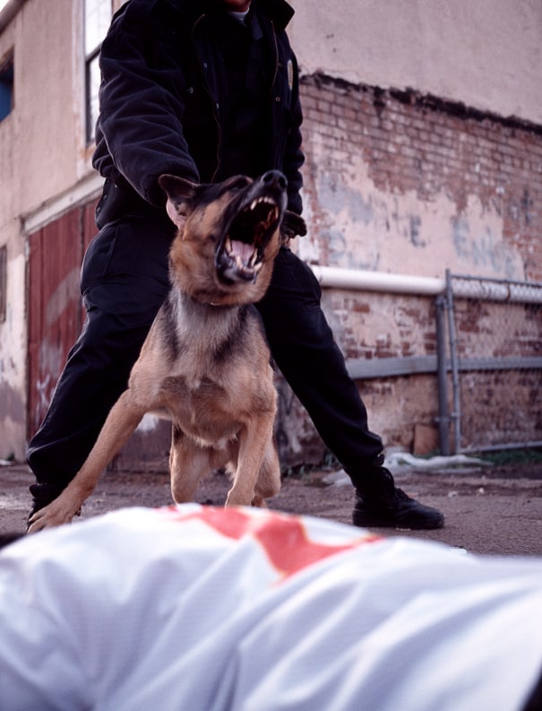 police k9 sales and training