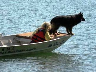 water cadaver dog training