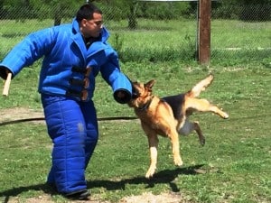 Read more about the article Police K9 Decoy Seminar
