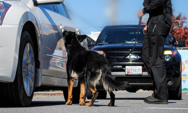 police dog handler course