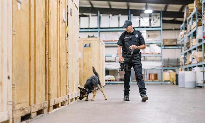 Police K9 Dog Handler Courses - K9 Handler School Training