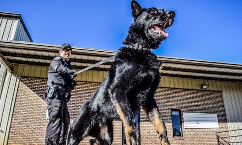 police k9 patrol dog seminar