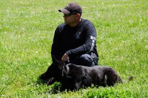 Read more about the article Maximize the Value of Your Next Police K9 Seminar