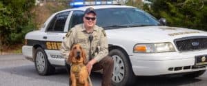 Read more about the article Tips for K9 Handler Selection