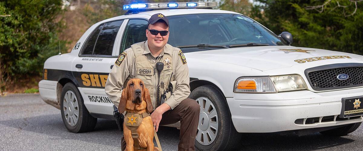 You are currently viewing Tips for K9 Handler Selection