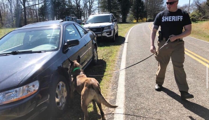 Four Common Handler Cues To Avoid Police & Military K9