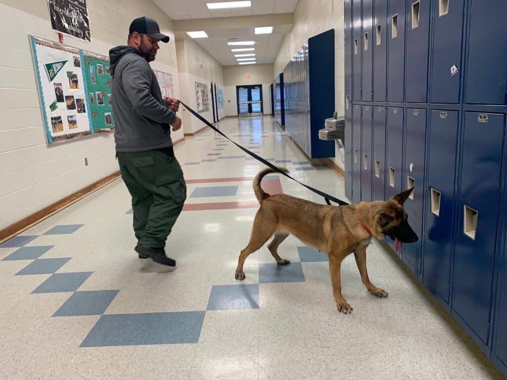 drug detection dog inside school