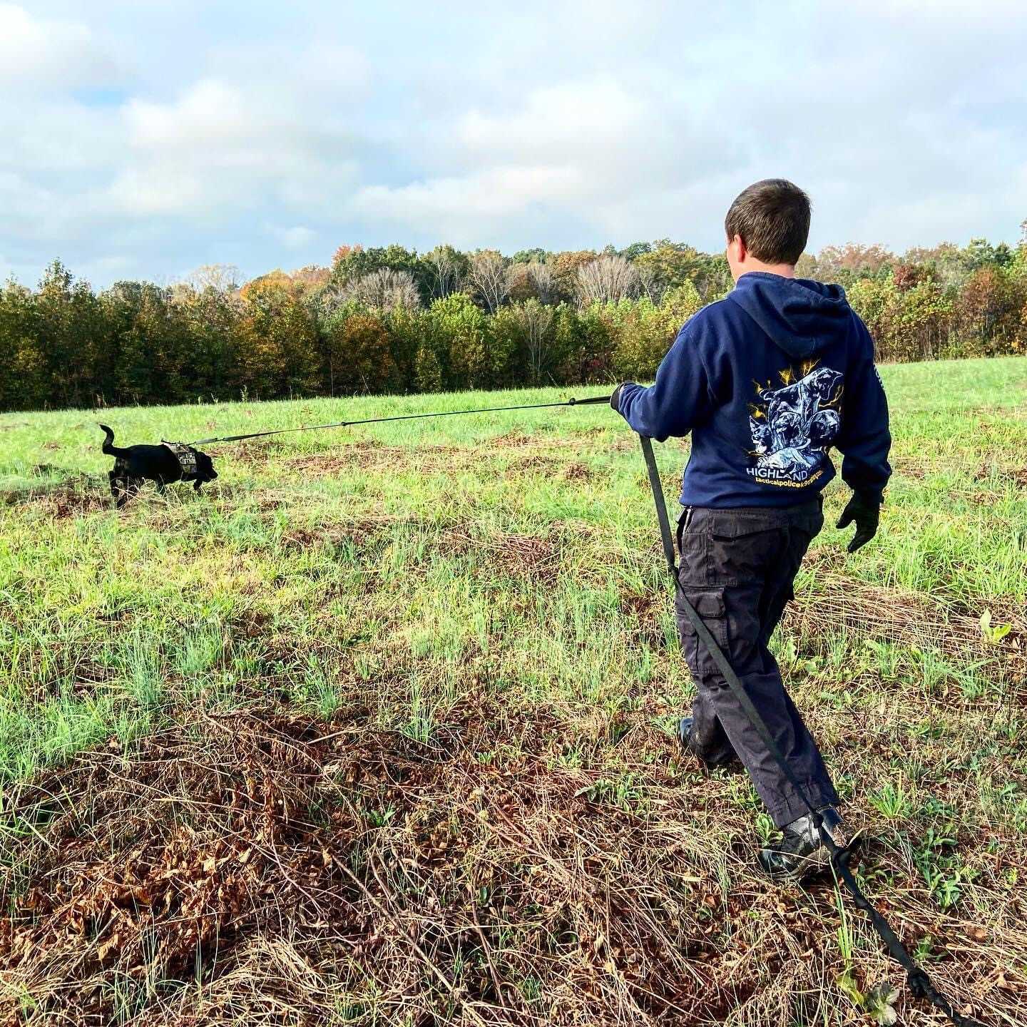 The Importance Of Teaching Scent Discrimination To A Trailing Dog