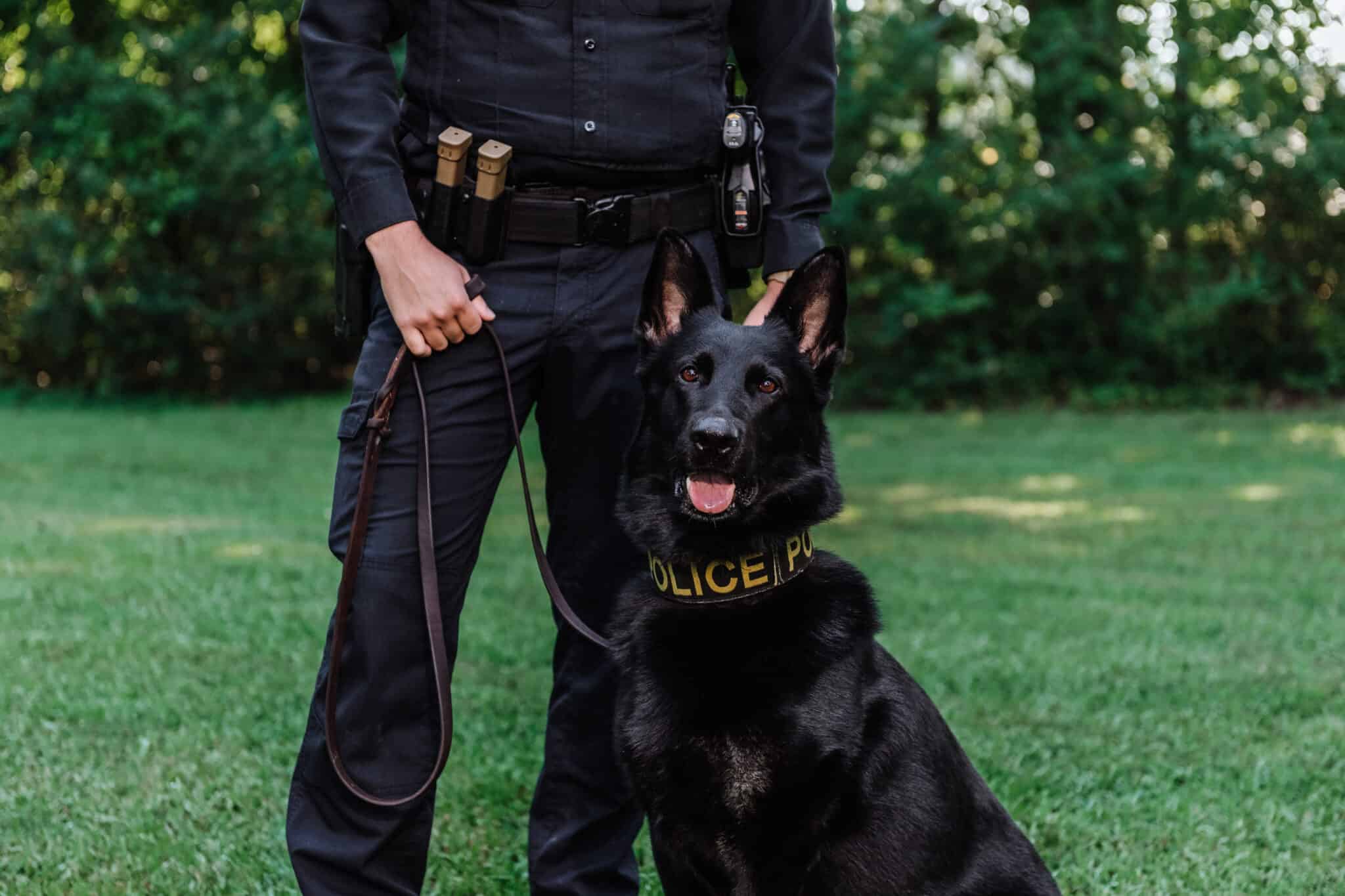 Police K9 Training and Sales, Offering Unbeatable Services Globally