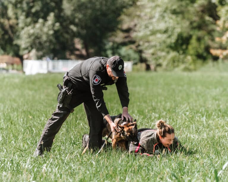 Police K9 Dog Handler Courses K9 Handler School Training