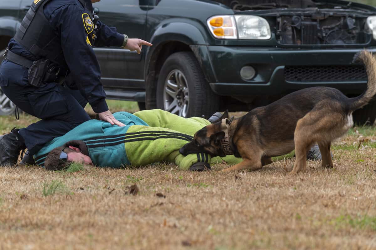 Police K9 Training and Sales, Offering Unbeatable Services Globally