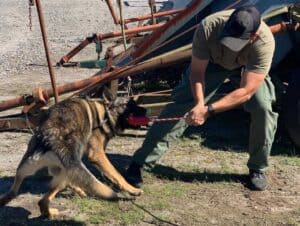 Read more about the article 10 Things Every K9 Supervisor Needs To Know
