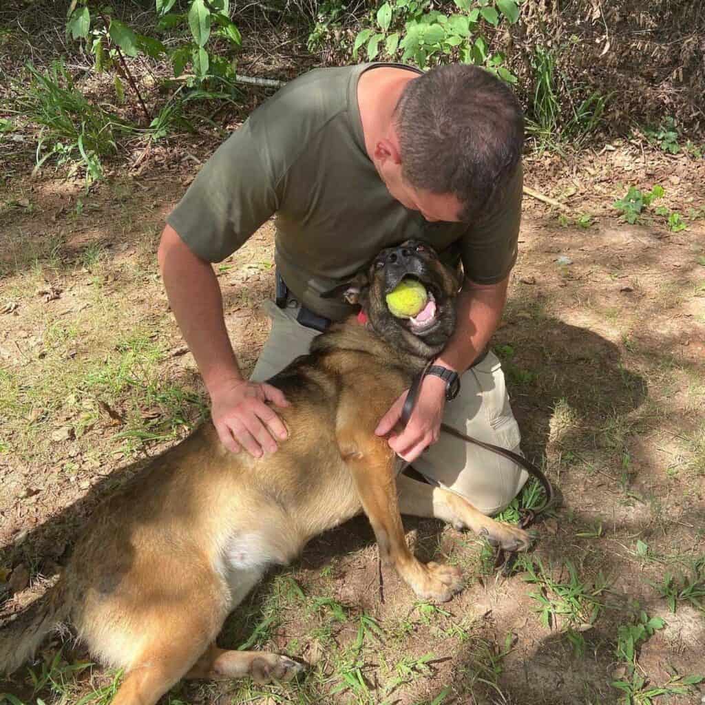 k9 handler with german shepherd in training