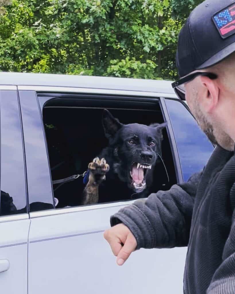patrol dog biting out of car window
