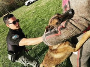 Read more about the article Seven Ways A Patrol Dog Can Benefit A Police Department