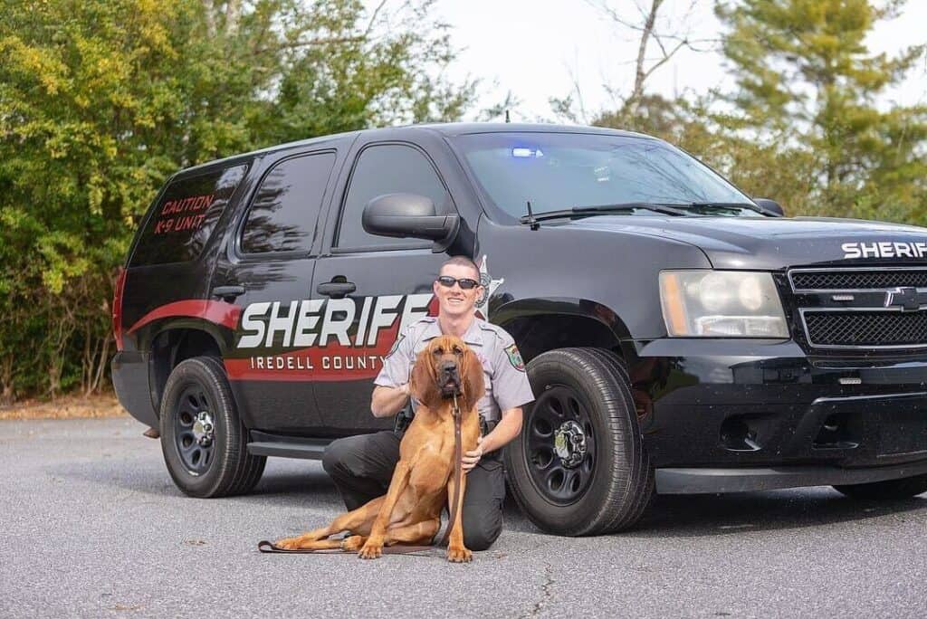 bloodhound iredell county