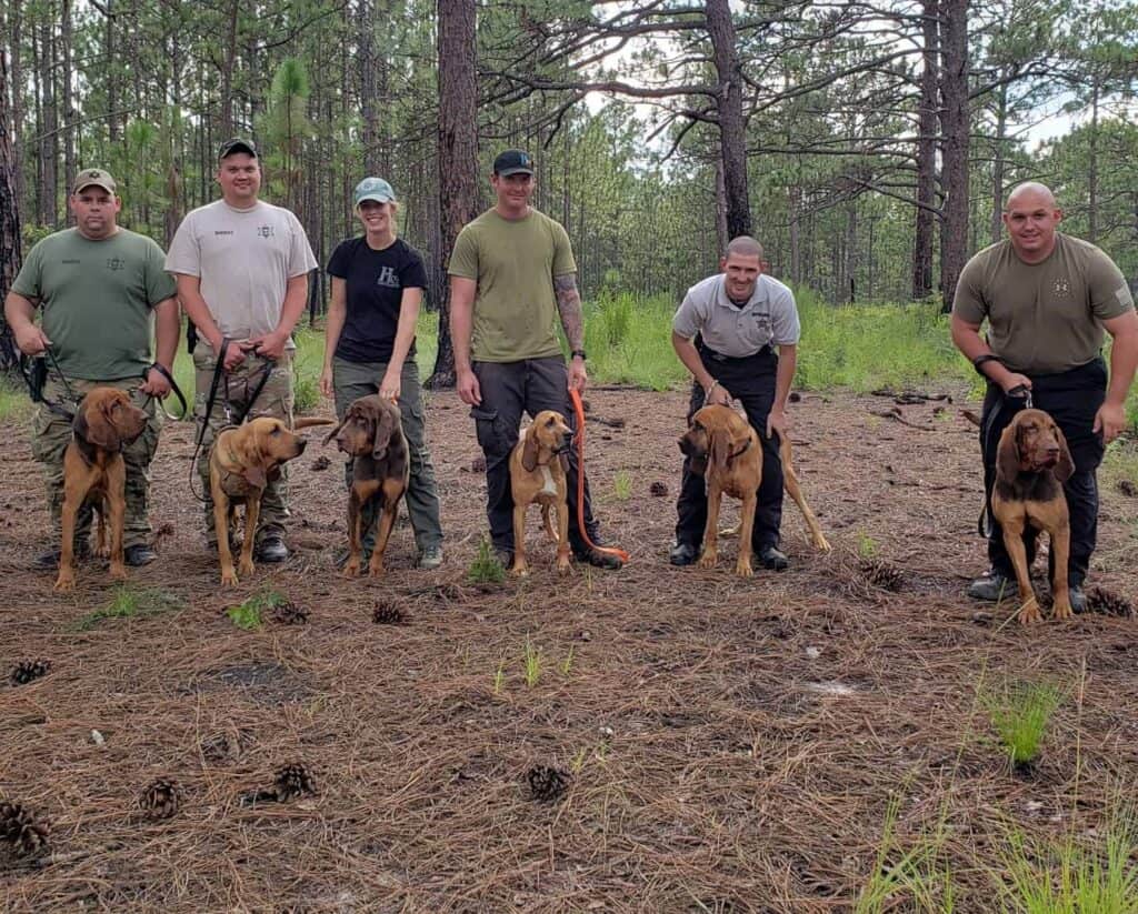 police k9 bloodhound training