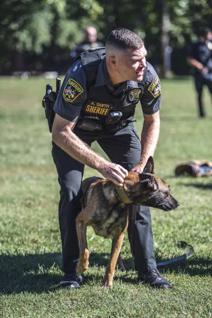 police dog in training exercise