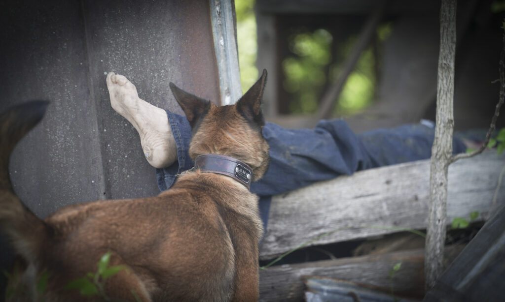 Land Cadaver Dog Training