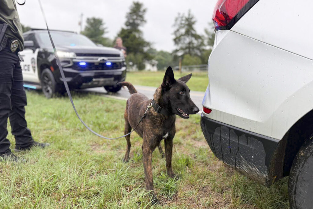 drug dog handler course