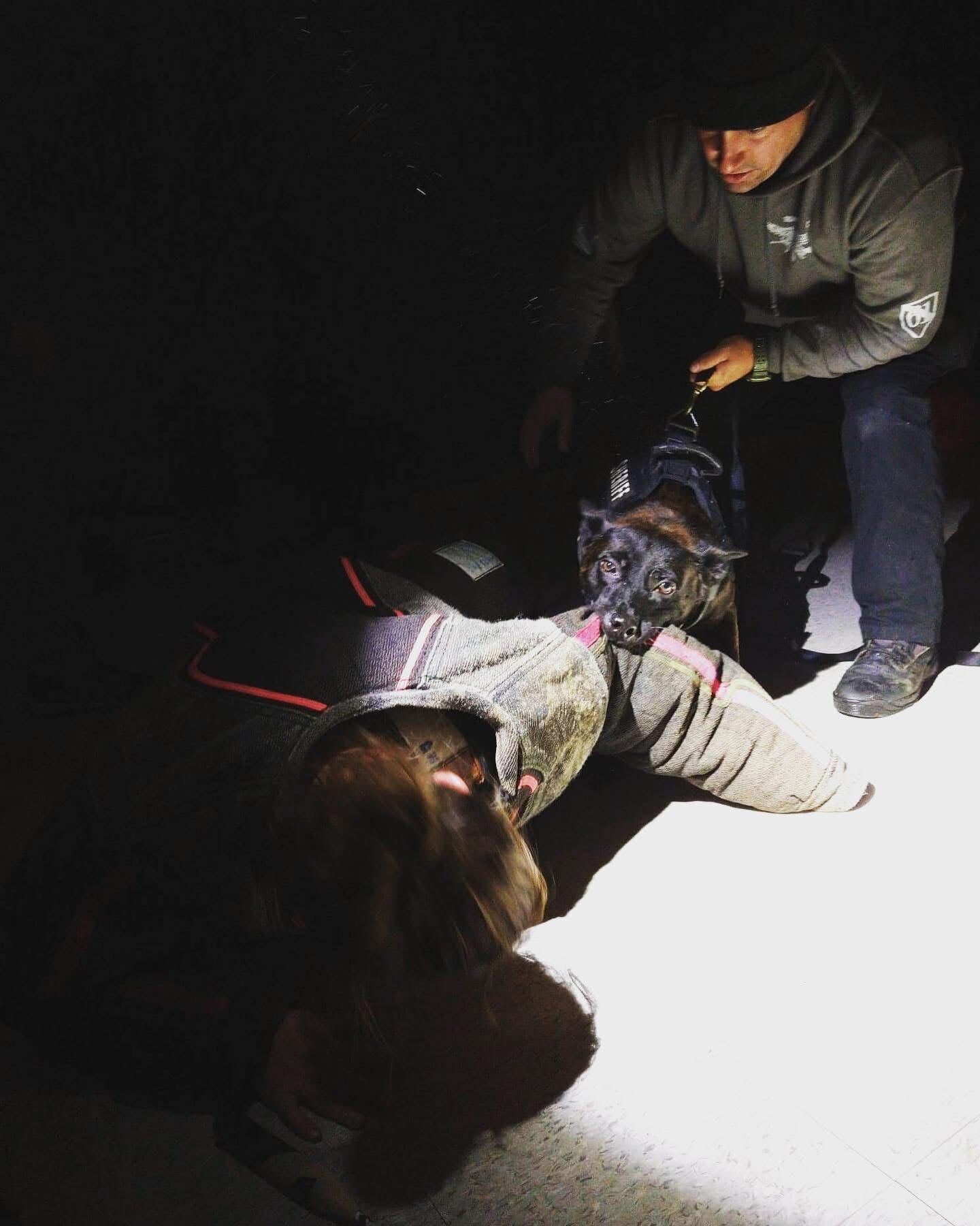 high risk k9 seminar