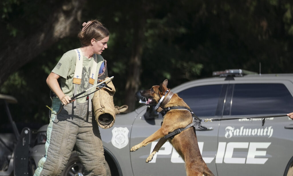 visit highland canine