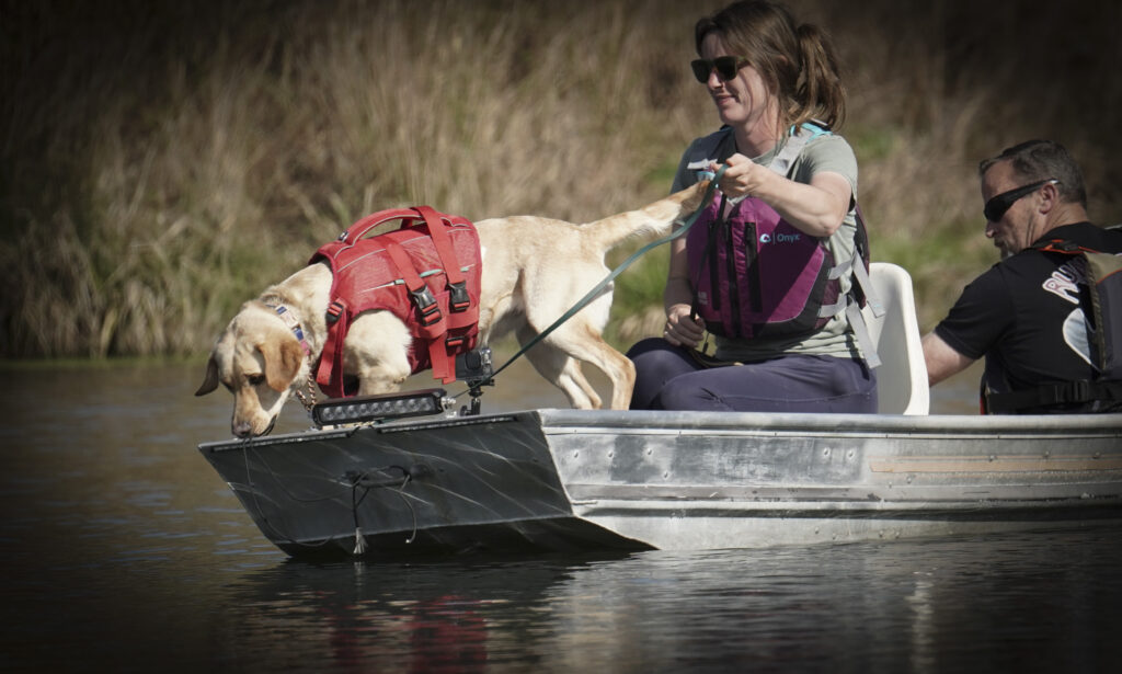 water cadaver dog training